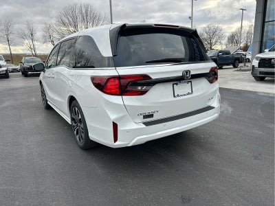 2026 Honda Odyssey Elite