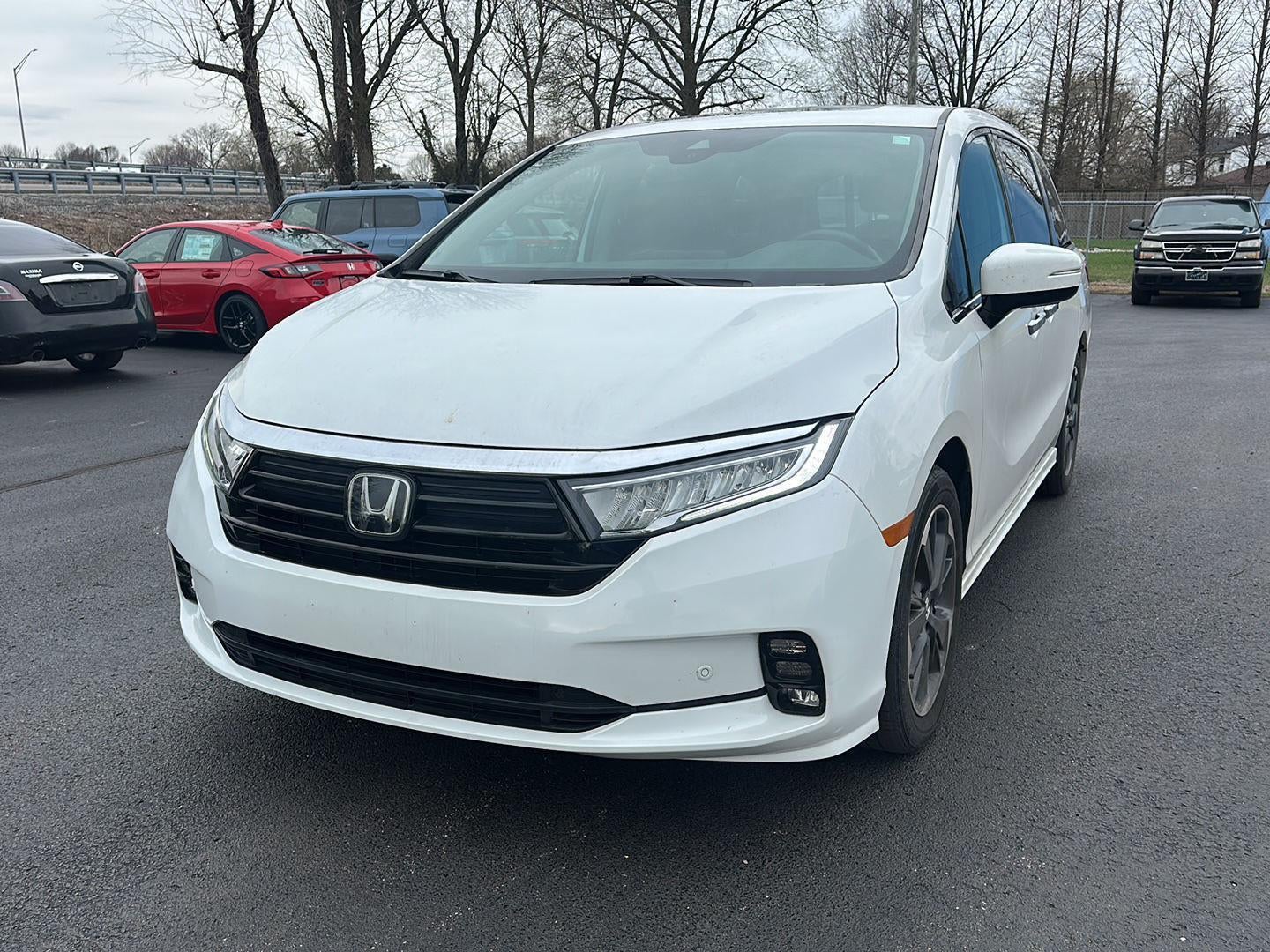 2023 Honda Odyssey Elite