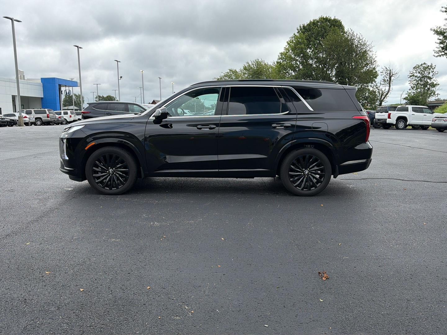 2025 Hyundai Palisade Calligraphy Night Edition